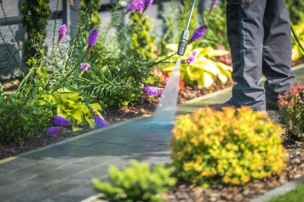 Professional Pressure Washing Services in Springfield, NE