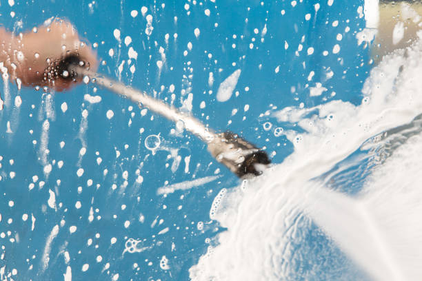 Best Animal Enclosure Cleaning  in Springfield, NE