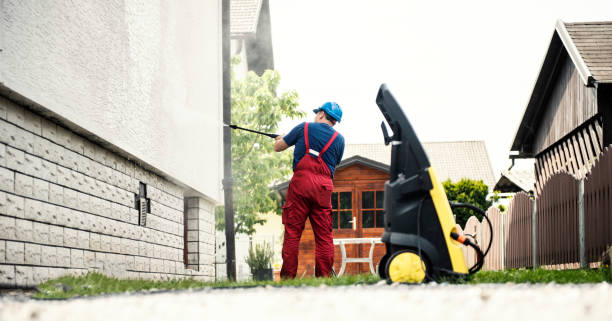 Best Solar Panel Cleaning  in Springfield, NE